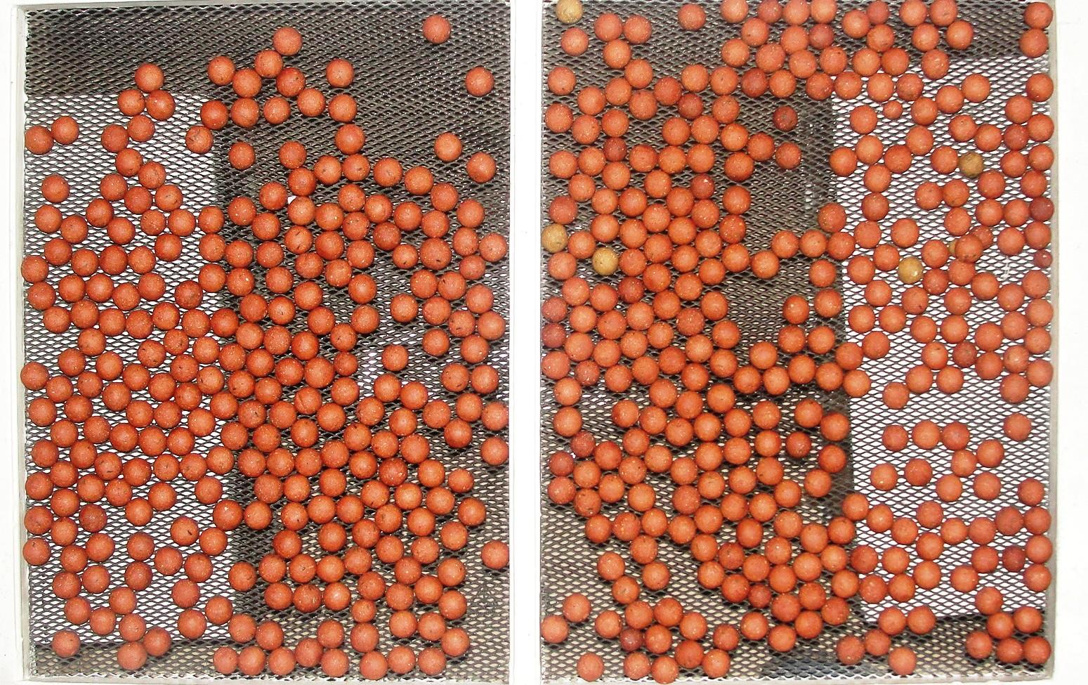 Vineri 13 - dsc03935.JPG